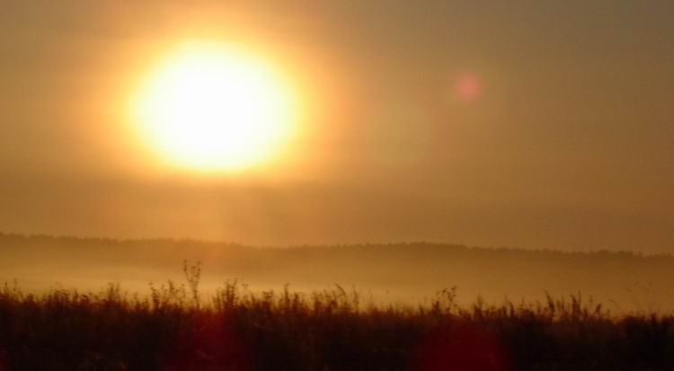  the morning of life 04