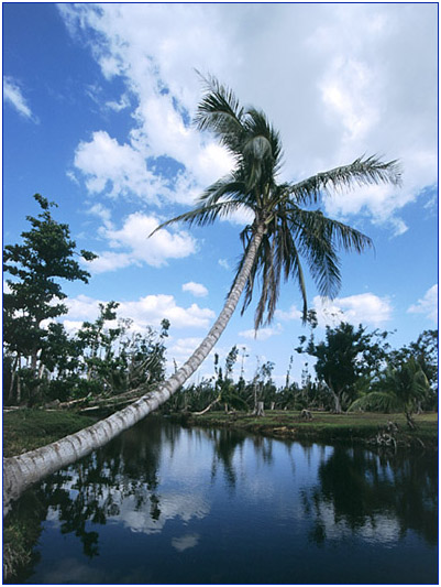  Cuba #12.  ...