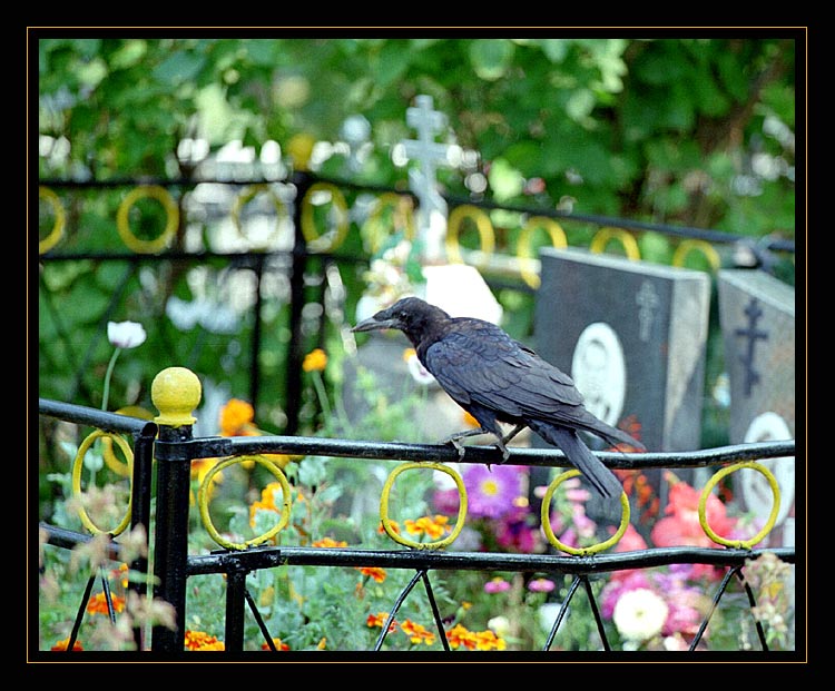  Momento mori
