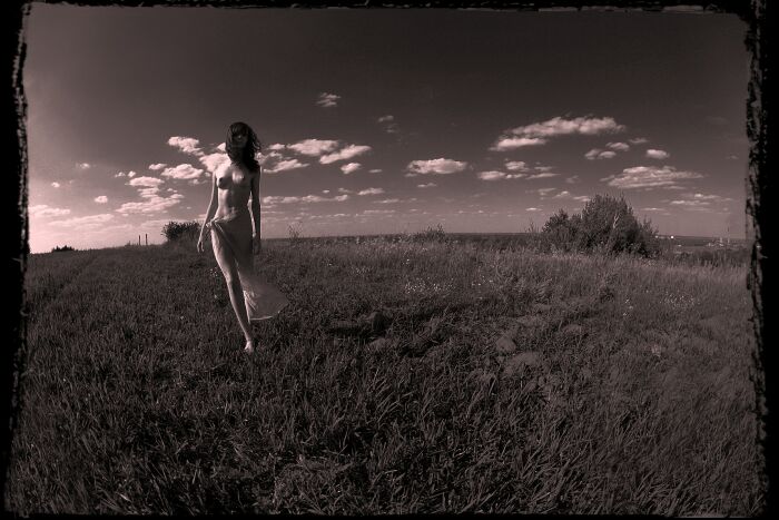  .....00544 ( ...)