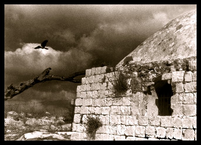  THE TOMB