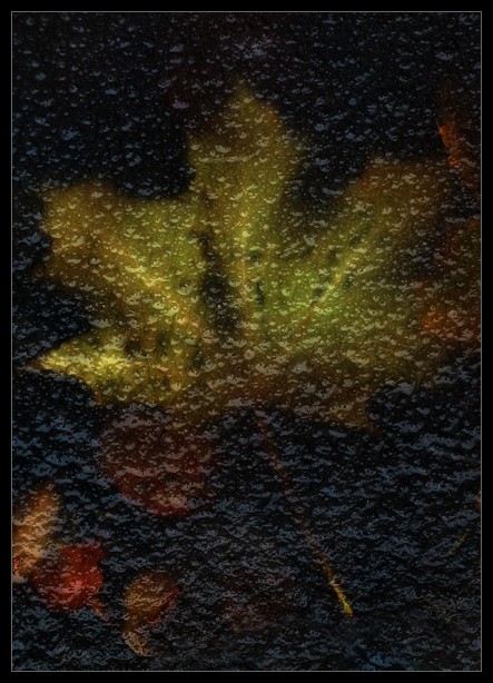  Nature Morte
