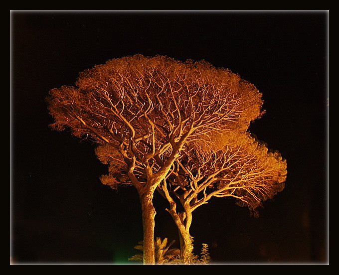  Mezzanotte