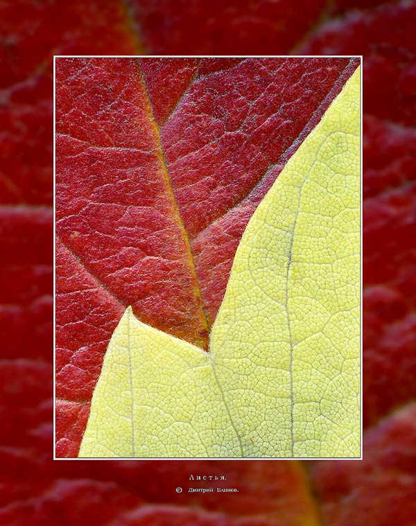   5.