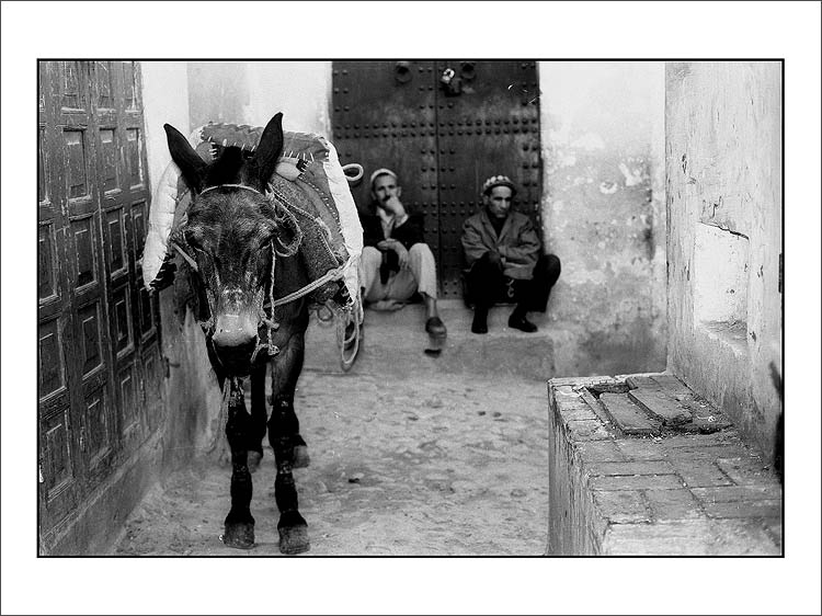  [ meknes** ]