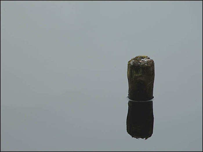   No1
