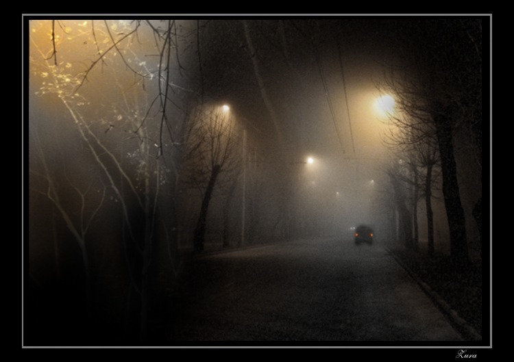  fog lihgts