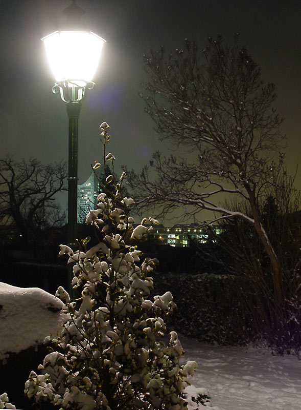  Snow Fairy 2
