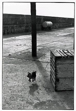  Elliott Erwitt. Ireland. 1968