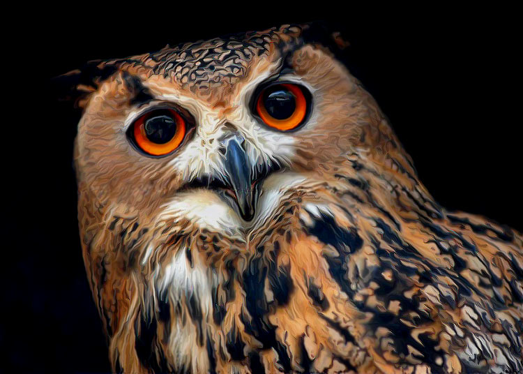  Night Bird