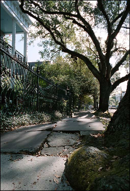  Oak street