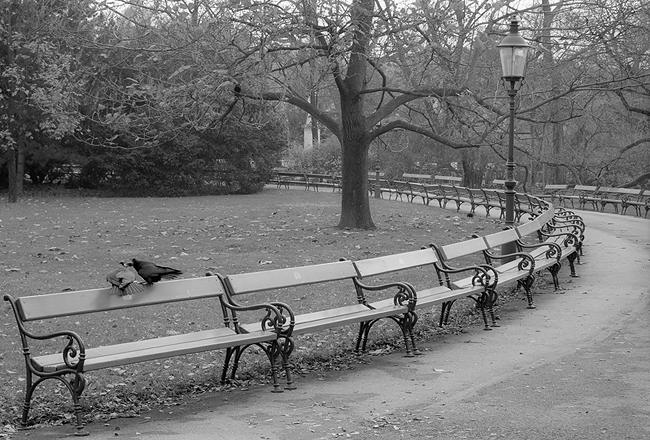  Wien. Stadtpark.