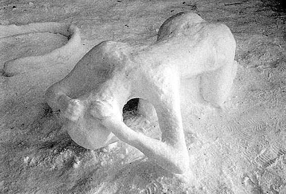  Snieznaja erotica