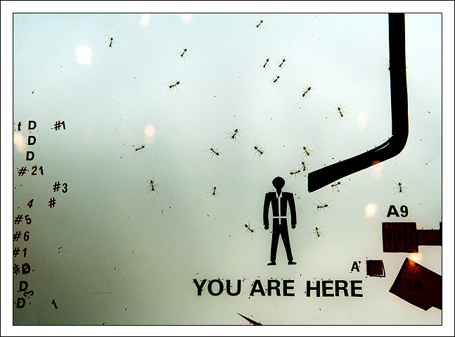  YOU ARE HERE