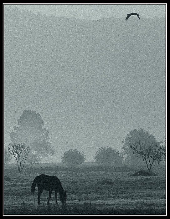  Silence