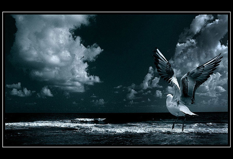  The wanderer of the Sky and Sea