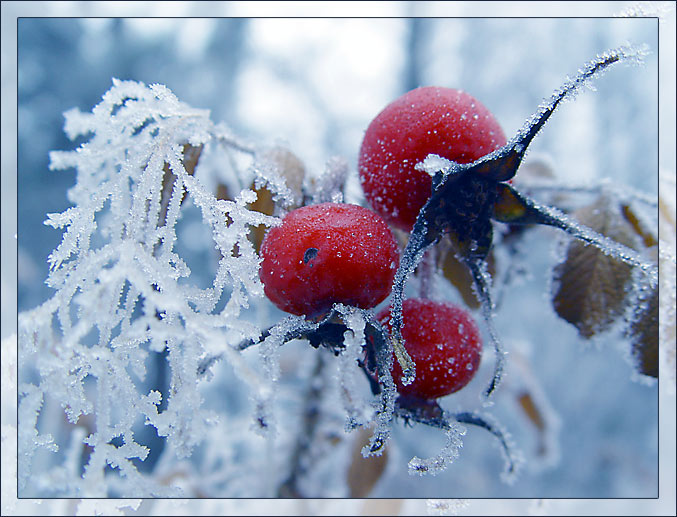  Der Winter ist Da!