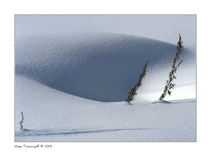  Snow Study # 040314