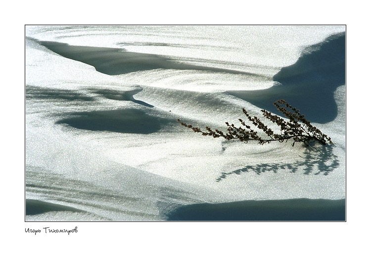  Snow Study #030910