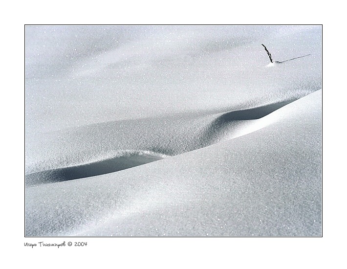  Snow Study #040312