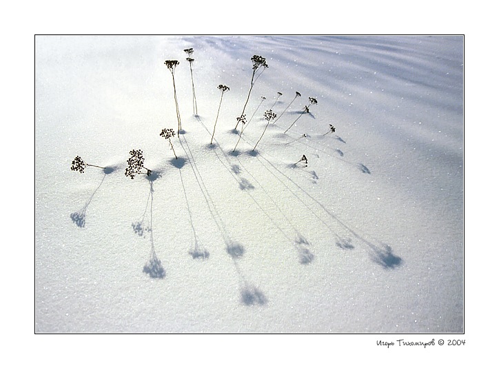  Snow Study #040322