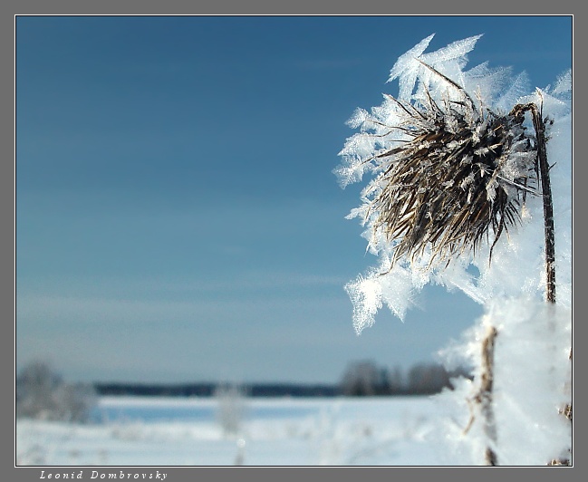  -3,  