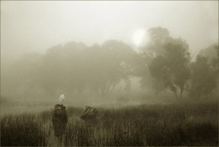 фотография Закат в тумане ll.