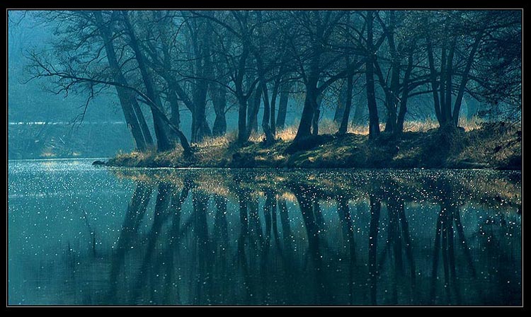  MAGIC WOOD