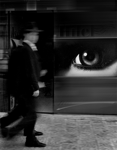  The eye
