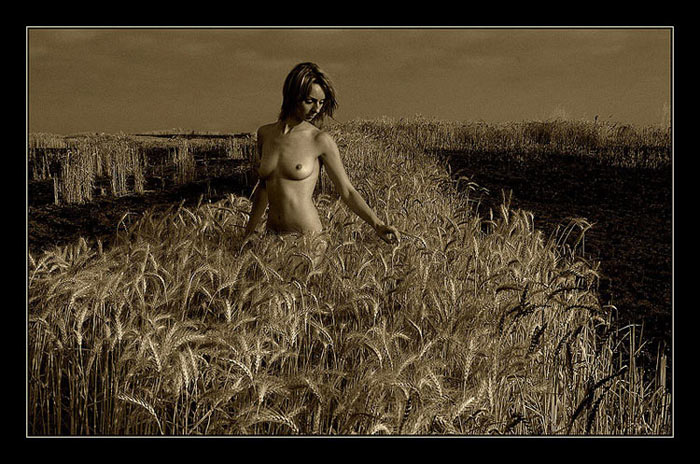  Erotic Landscape