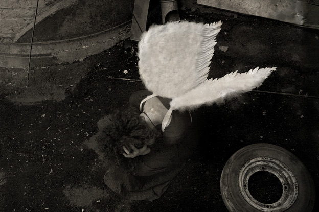  Late angel: fall...
