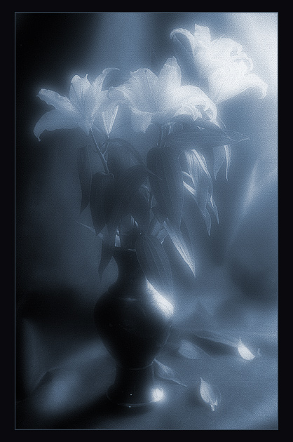  Still Life #02