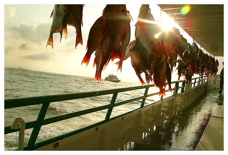  Gulf of Mexico