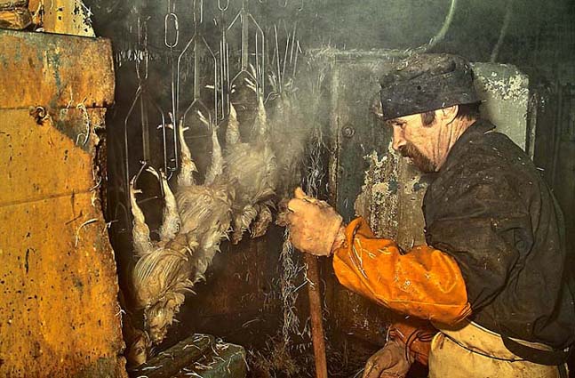  Kurinnyj sok