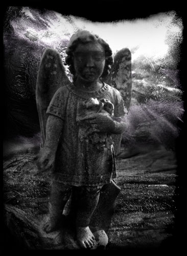  Phil cemetery 1