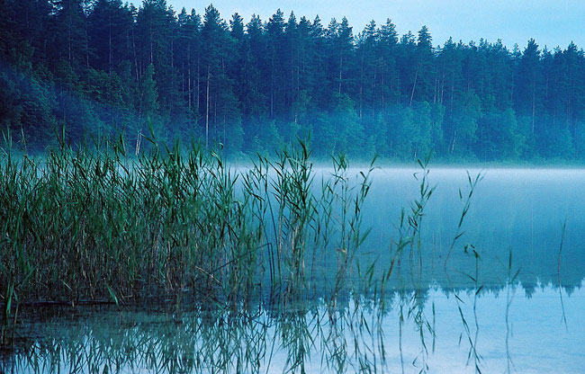  Ozioro Ploskije