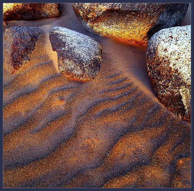  Nature designe