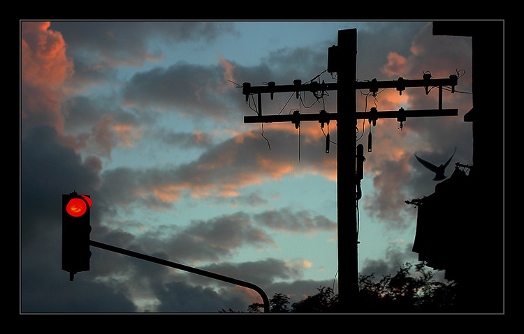  Traffic light and..............Evening Flight
