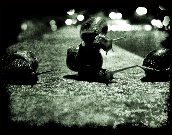 Slow