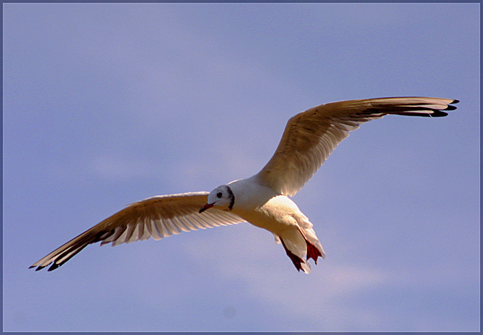  Flight 