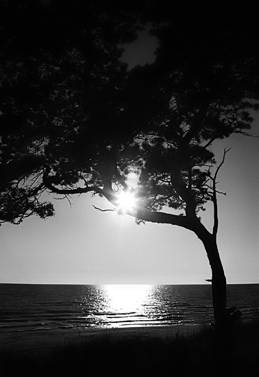  Black sunset