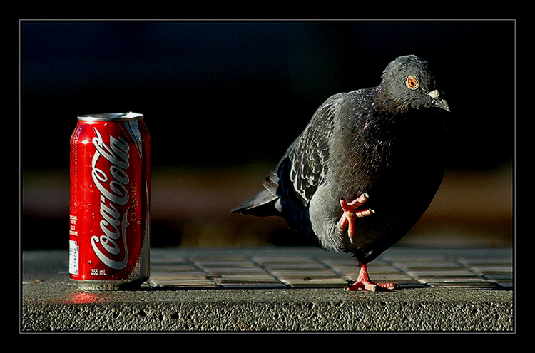   ,  COCA-COLA