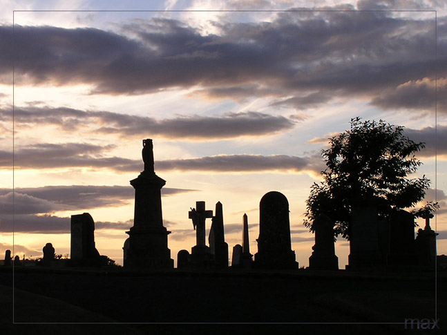  Nice Evening to Die