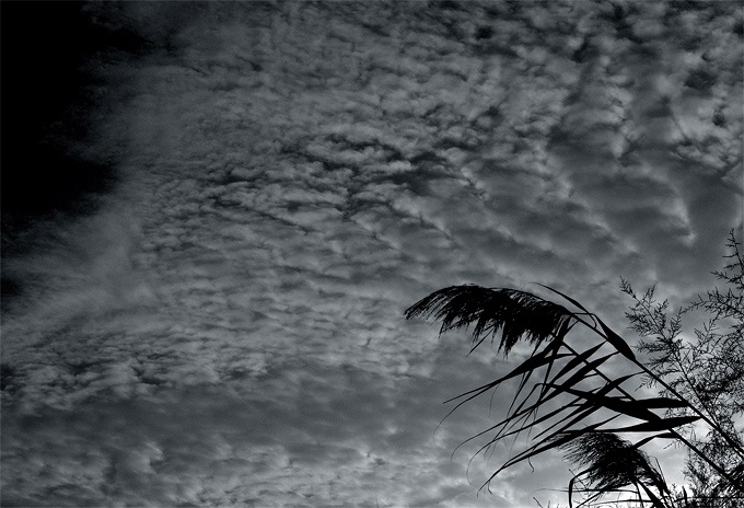  Wind