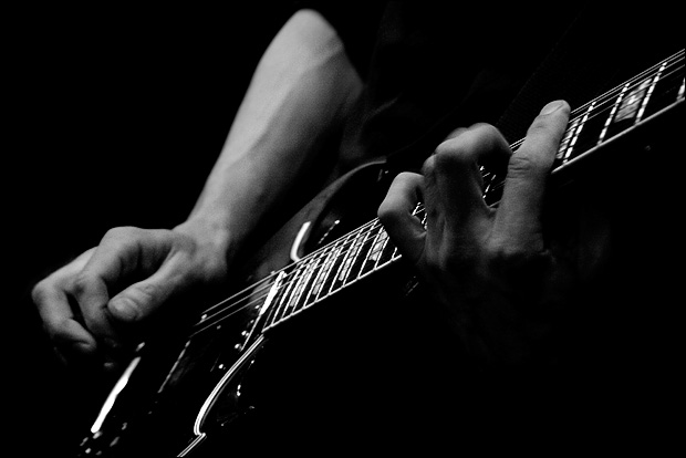 Fender