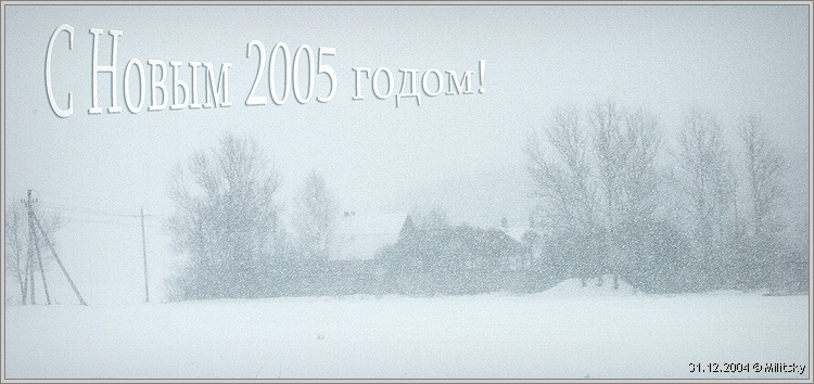    2005 