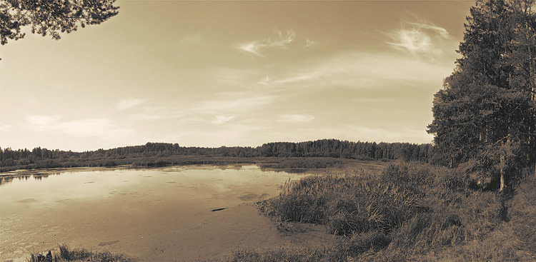    2004.