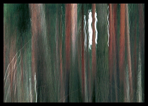   #8