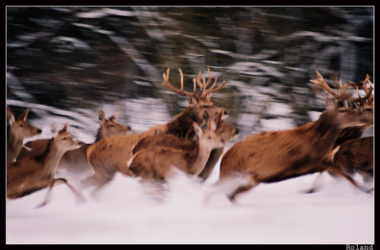  Winter marathon
