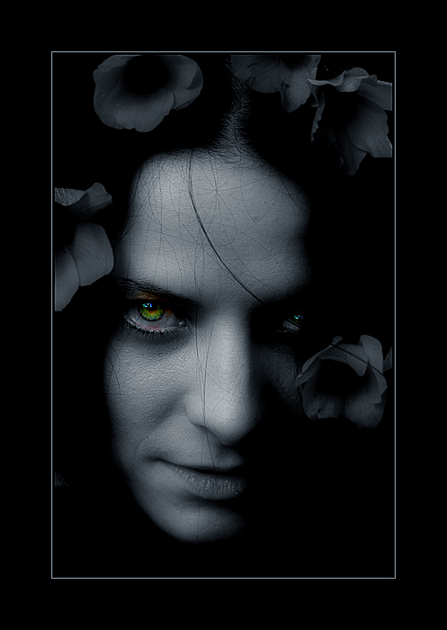  WITCH